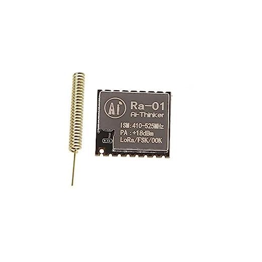 LoRa 01 Module